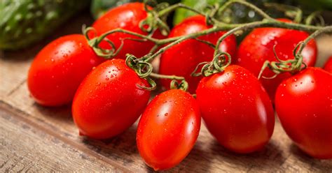 mature roma|Pictures of Roma Tomatoes: A Photo Guide